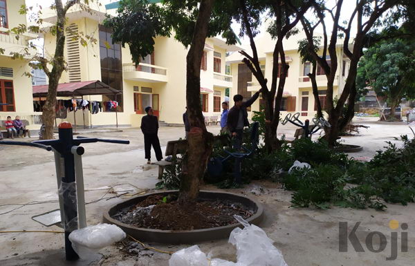 Dự án lắp đặt thiết bị thể thao ngoài trời tại Trung tâm bảo trợ xã hội, TP Hà Giang